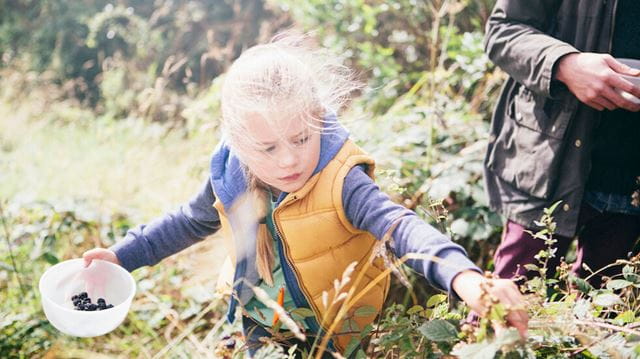 Tips for forgaing in autumn: the whole family can enjoy picking wild berries and nuts